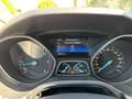 Ford Focus Business Braun - thumbnail 13