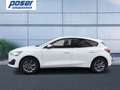 Ford Focus Titanium Style 1.0 EcoBoost MHEV Weiß - thumbnail 3