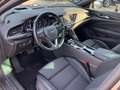 Opel Insignia B Sports Tourer Business CDTi Grau - thumbnail 7