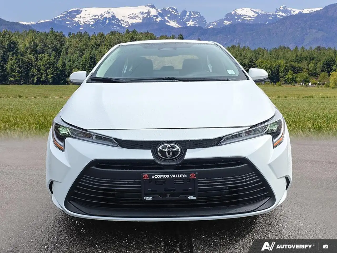 Toyota Corolla снимка Toyota Corolla