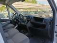 Peugeot Boxer 330 2.2 BlueHDi 140 S&S PM-TM L2 H2 Furgone Blanc - thumbnail 13