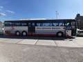 MAN Sonstige NEOPLAN N316/3 UL Weiß - thumbnail 1