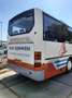 MAN Sonstige NEOPLAN N316/3 UL Weiß - thumbnail 4