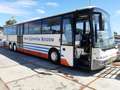 MAN Sonstige NEOPLAN N316/3 UL Weiß - thumbnail 2