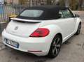 Volkswagen Maggiolino Maggiolino Cabrio 2.0 tdi Design NESSUN VINCOLO Beyaz - thumbnail 5