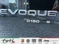 Land Rover Range Rover Evoque R-dynamic S 2.0 150PS Automat. Schwarz - thumbnail 15