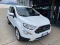 Ford EcoSport 1.5 Ecoblue 95 CV Start&Stop Titanium White - thumbnail 4