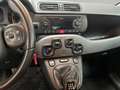 Fiat Panda 1.2 Lounge PREZZO SENZA NESSUN VINCOLO Grigio - thumbnail 13