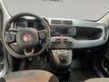 Fiat Panda 1.2 Lounge PREZZO SENZA NESSUN VINCOLO Grigio - thumbnail 10