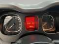 Fiat Panda 1.2 Lounge PREZZO SENZA NESSUN VINCOLO Grigio - thumbnail 12