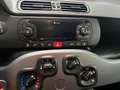 Fiat Panda 1.2 Lounge PREZZO SENZA NESSUN VINCOLO Grigio - thumbnail 14