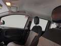 Fiat Panda 1.2 Lounge PREZZO SENZA NESSUN VINCOLO Grigio - thumbnail 16