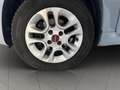 Fiat Panda 1.2 Lounge PREZZO SENZA NESSUN VINCOLO Grigio - thumbnail 21