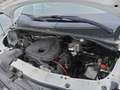 Hyundai H350 Fg. 2.5CRDI Essence 5.5M Blanco - thumbnail 5