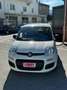 Fiat Panda 1.3 MJT 95 CV S&S Easy Bianco - thumbnail 6