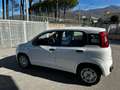 Fiat Panda 1.3 MJT 95 CV S&S Easy Bianco - thumbnail 2