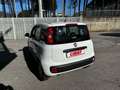 Fiat Panda 1.3 MJT 95 CV S&S Easy Bianco - thumbnail 3