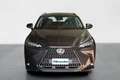 Lexus NX 350h 350 2.5 Hybrid Luxury Gris - thumbnail 2