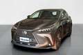 Lexus NX 350h 350 2.5 Hybrid Luxury Gris - thumbnail 1