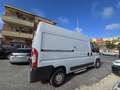 Fiat Ducato 35 3.0 CNG PLM-SL-TM Furgone Maxi Bílá - thumbnail 9