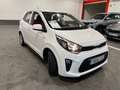 Kia Picanto 1.0 CVVT Eco-Dynamics Concept Pack Comfort Weiß - thumbnail 5