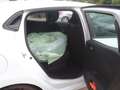 Renault Clio Clio Evolution TCe 90 Evolution Weiß - thumbnail 10
