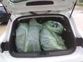 Renault Clio Clio Evolution TCe 90 Evolution Weiß - thumbnail 12