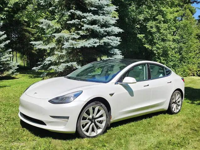Tesla Model 3 2019 — photo 3