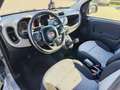 Fiat Panda 1.3 MJT 95 CV S&S Lounge Grau - thumbnail 9