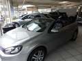 Volkswagen Golf Cabriolet 1,2 TSI, Leder Grau - thumbnail 12