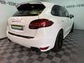 Porsche Cayenne GTS V8 Porsche Approved 06.27*TOP ZUSTAN Weiß - thumbnail 37