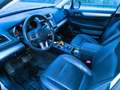 Subaru OUTBACK 2.0TD Executive Lineartronic Сірий - thumbnail 5