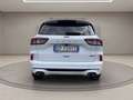 Ford Kuga 2.5 phev ST-Line 2wd 225cv cvt Bianco - thumbnail 5