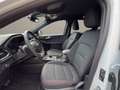 Ford Kuga 2.5 phev ST-Line 2wd 225cv cvt Bianco - thumbnail 15