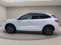 Ford Kuga 2.5 phev ST-Line 2wd 225cv cvt Bianco - thumbnail 3