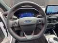 Ford Kuga 2.5 phev ST-Line 2wd 225cv cvt Bianco - thumbnail 7