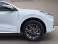 Ford Kuga 2.5 phev ST-Line 2wd 225cv cvt Bianco - thumbnail 10