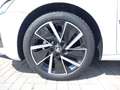 Skoda Octavia Combi 2.0 TDI Sportline DSG/MATRIX/ACC/NAVI Weiß - thumbnail 14