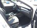 Skoda Octavia Combi 2.0 TDI Sportline DSG/MATRIX/ACC/NAVI Weiß - thumbnail 6