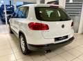 Volkswagen Tiguan 1,4 TSI Trend & Fun BMT/Navi/Alus/Klima Weiß - thumbnail 3
