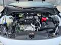 Ford Focus Titanium/1Hand/Werksgarantie 05/2027 /8xBereift/Sw Weiß - thumbnail 12