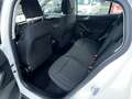 Ford Focus Titanium/1Hand/Werksgarantie 05/2027 /8xBereift/Sw Weiß - thumbnail 20
