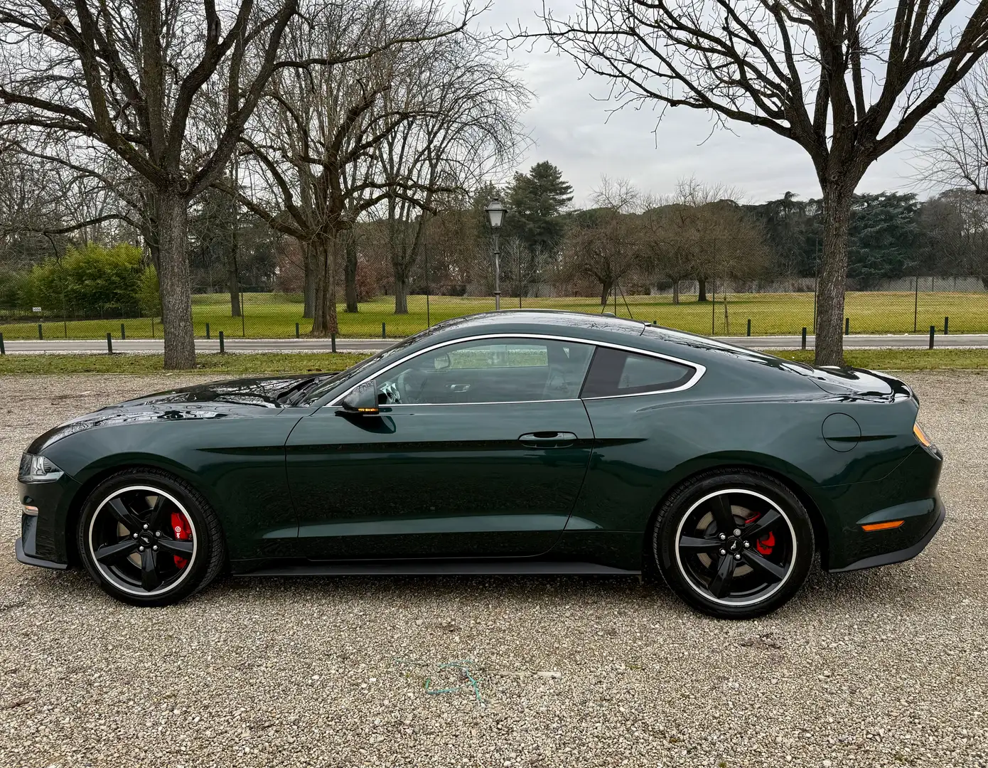 Ford Mustang Mustang Fastback 5.0 ti-vct V8 Bullit GT 460cv Vert - 2