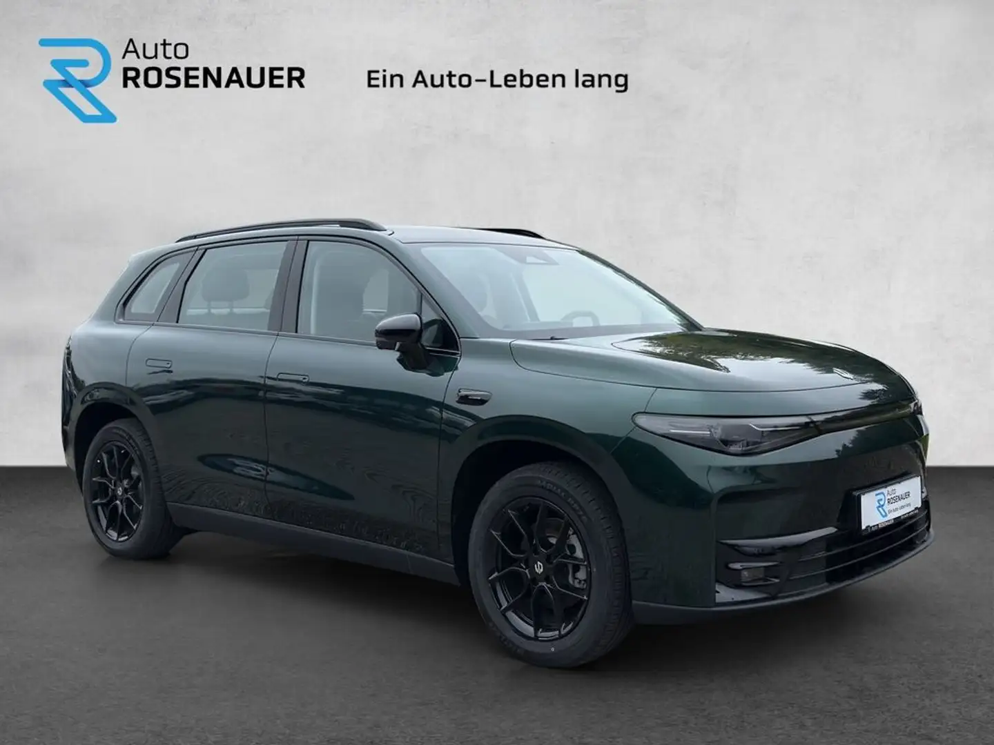 Leapmotor C10 Leapmotor C10 BEV Style !Navi, Rückfahrkamera! Grün - 2