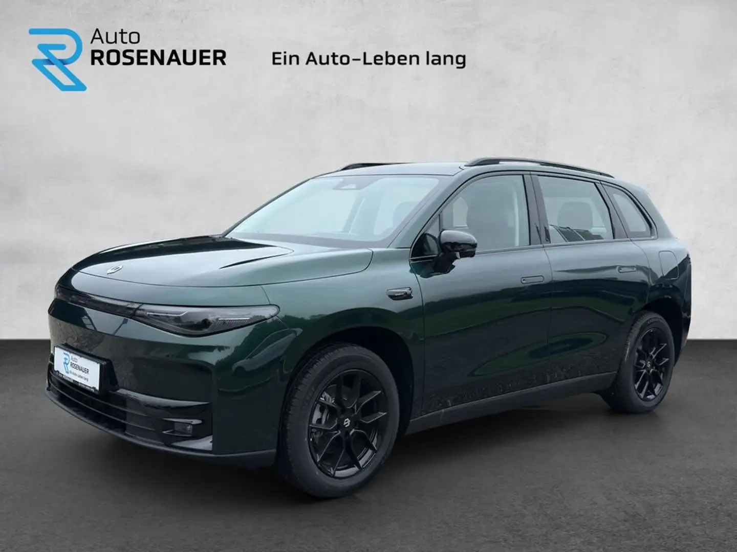 Leapmotor C10 Leapmotor C10 BEV Style !Navi, Rückfahrkamera! Grün - 1