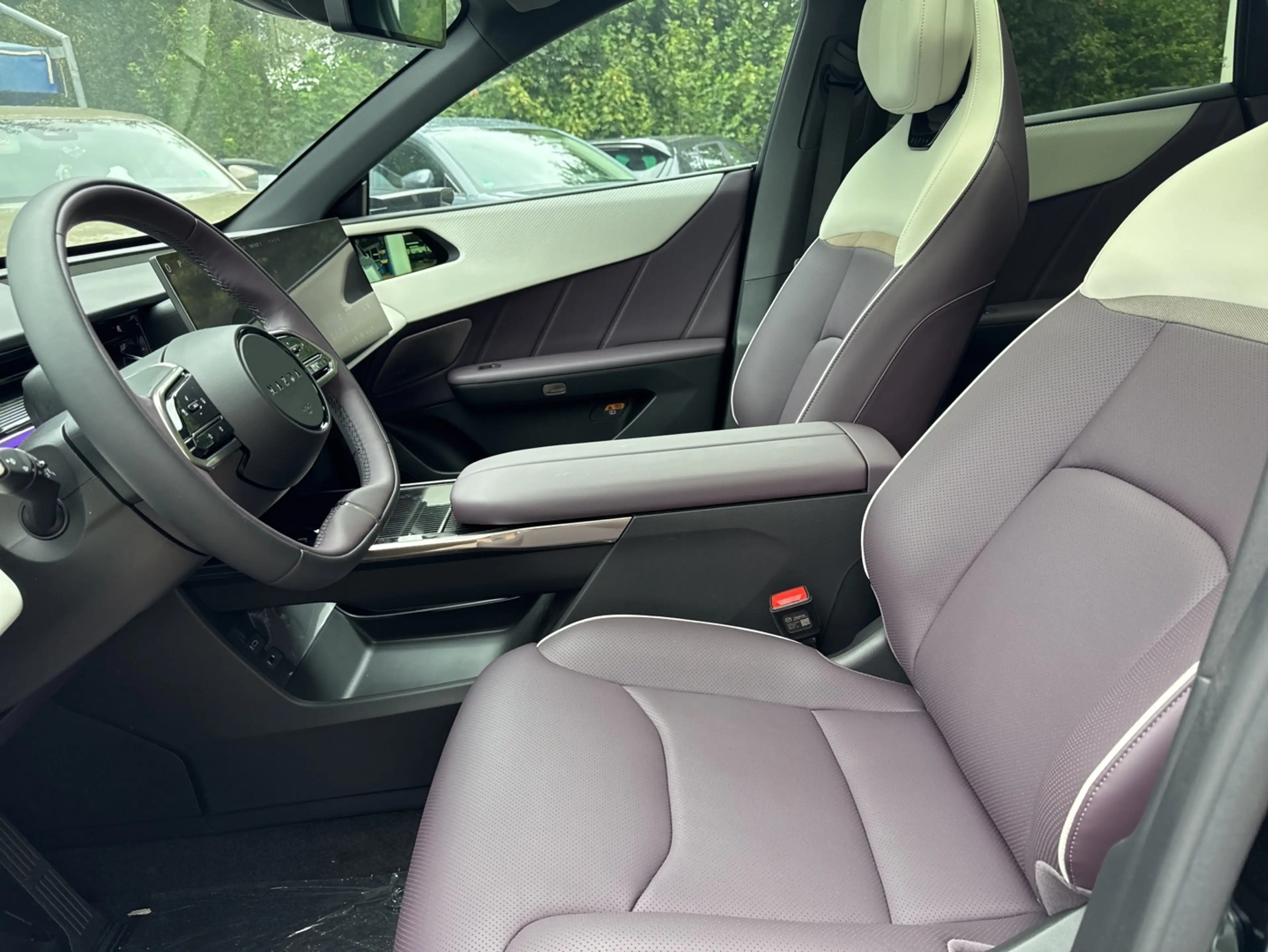 Mazda CX-6e EV 258 RWD AT TAKUMI PLUS — photo 8