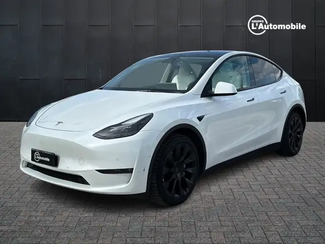 Tesla Model Y Model Y Long Range Dual Motor awd