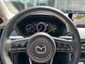 Mazda CX-60 3.3 SKYACTIV-D 254 Homura AWD Gris - thumbnail 14