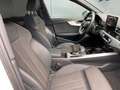 Audi A4 Avant 40 TDI quattro S line competition+ AHK Weiß - thumbnail 18