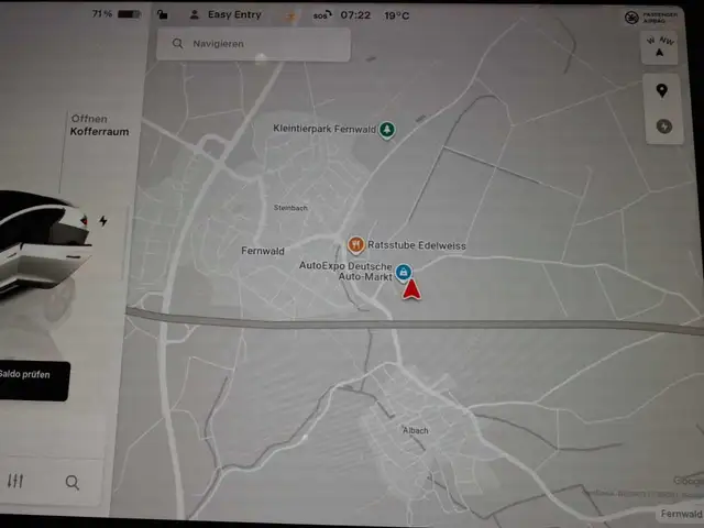 Tesla Model 3 view 12